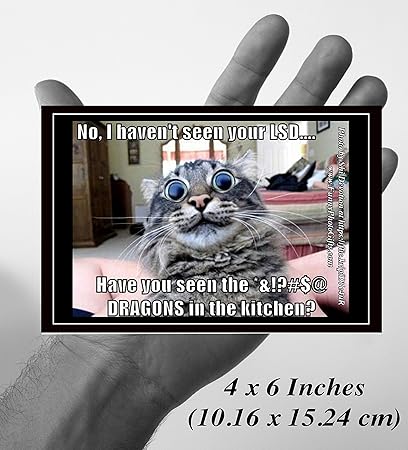 Lsd Dragons 30 Cartes Postales Environ 10 2 X 15 2 Cm 10 16 X 15 24 Cm