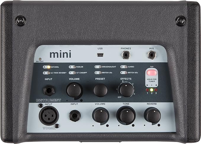 fender passport mini amp