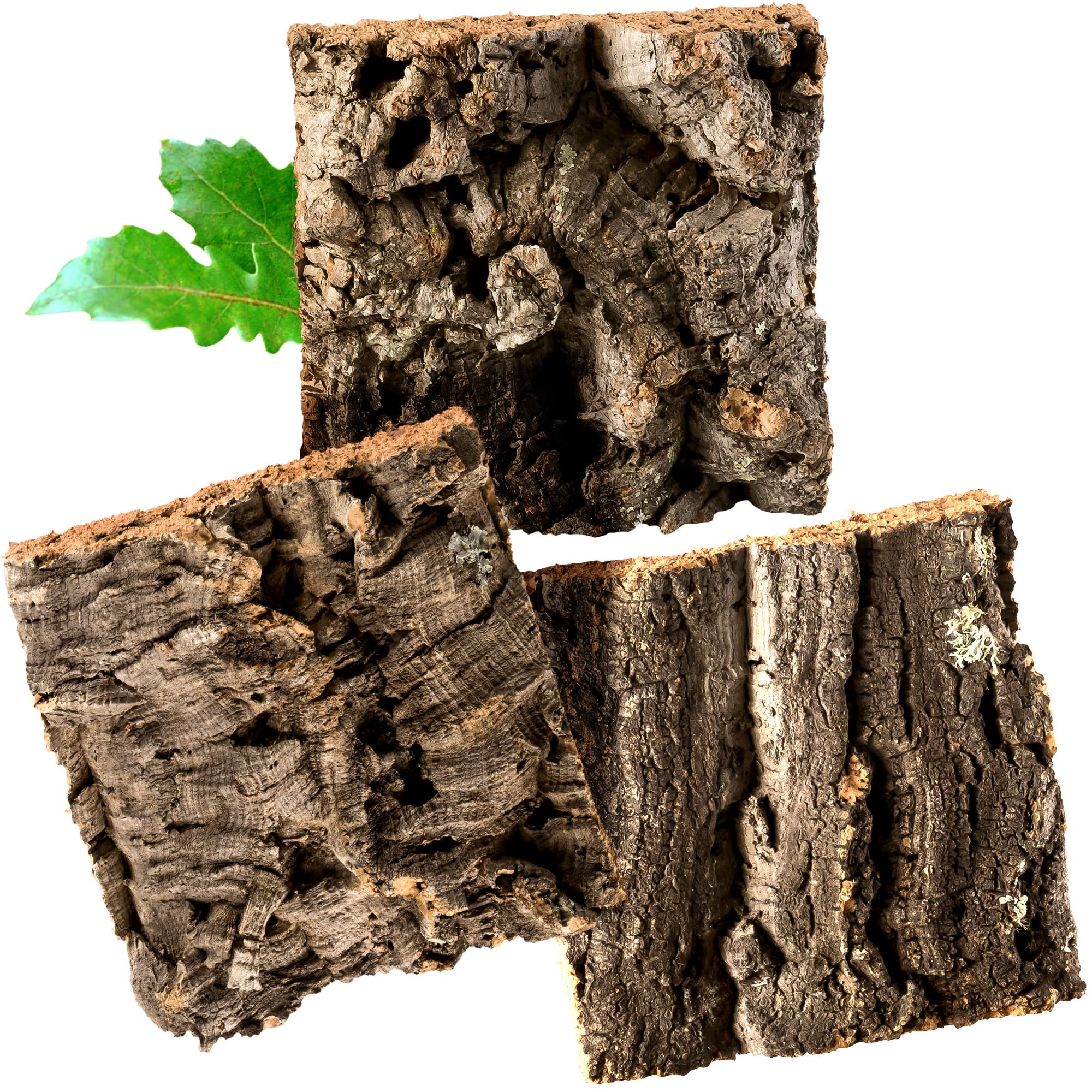 Kork-Deko Cork Bark (Rodent, Reptile, Decoration, Modelling, Model Railway Scenery) cork wood tree oak (3 pcs.)