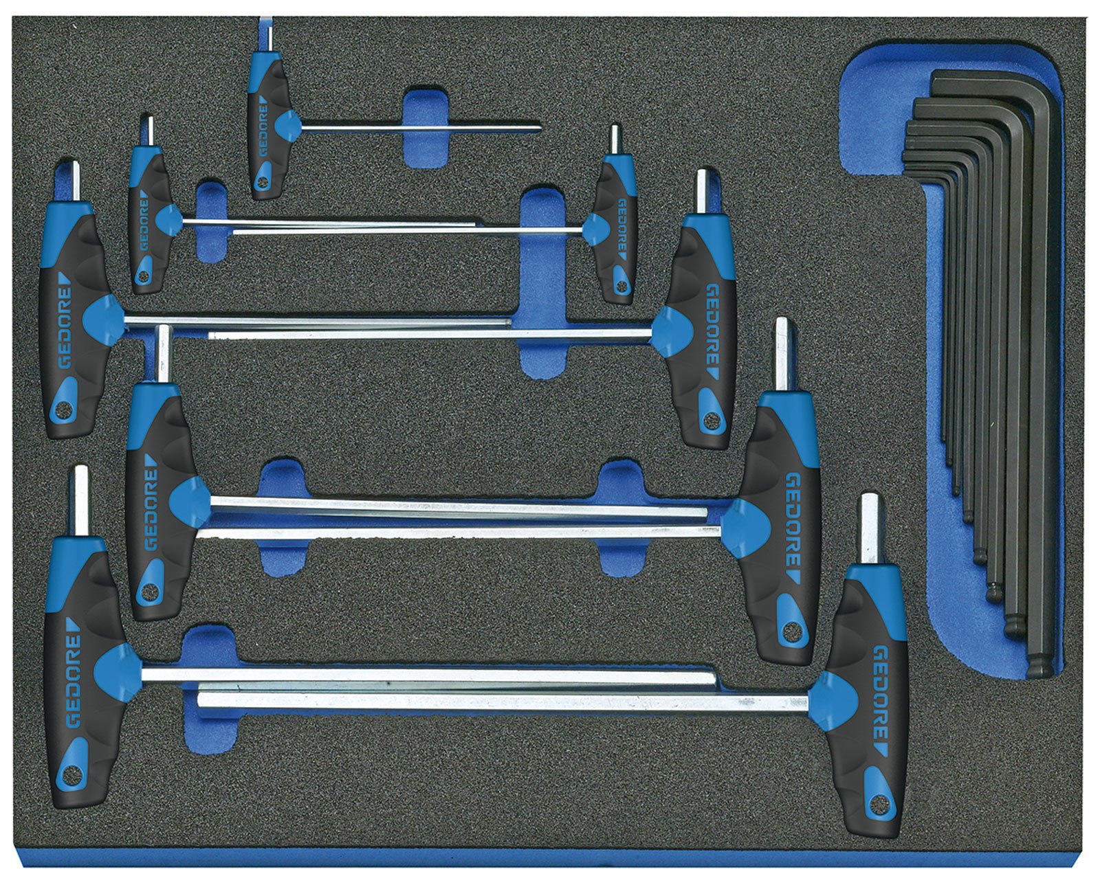 Gedore 2005 CT2-DT 42 Hexagon Allen Key Set in 2/4 CT Tool Module, 17 pcs