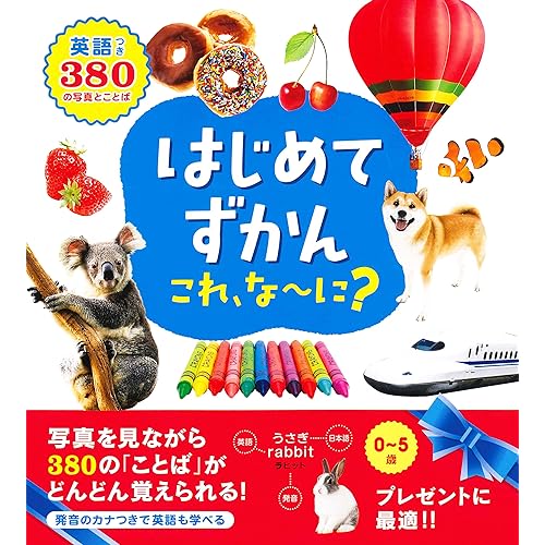 永岡書店 はじめてずかん これ、な～に？