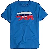 Levi's Boys' Toddler Graphic T-Shirt, Campanula, 3T