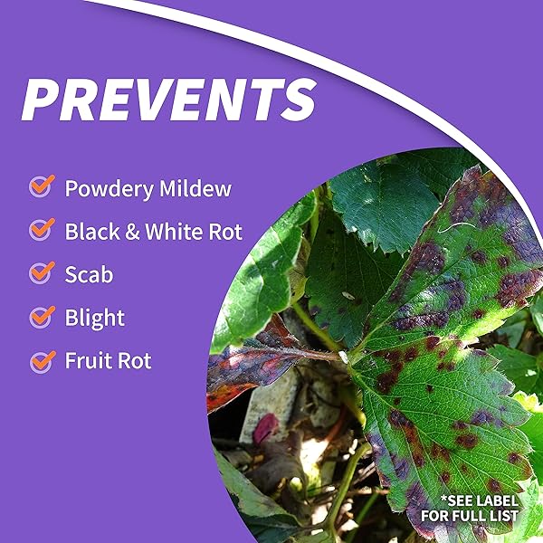 BONIDE (BND2021) – FRUIT TREE AND PLANT GUARD CONCENTRATE (16 OZ.)