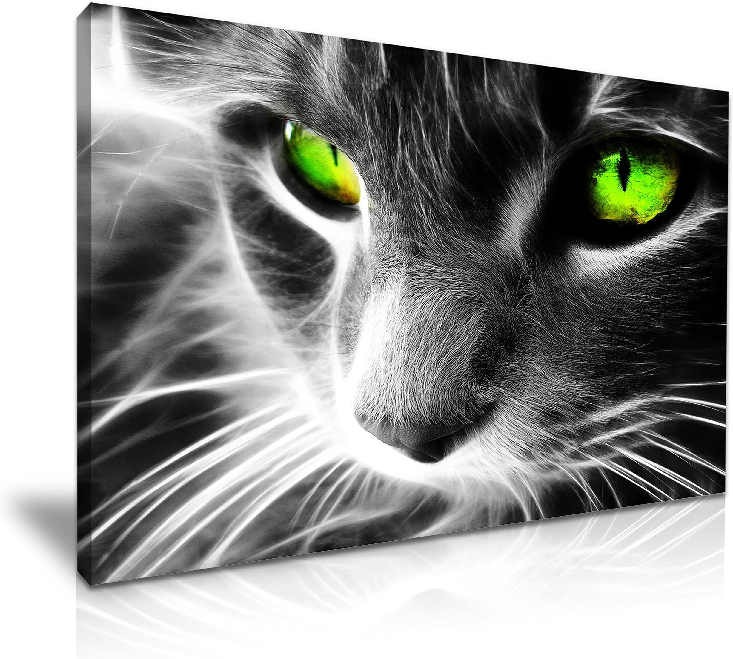 Green Eyes Cat Canvas Wall Art Picture Print 76x50cm Home Decoration