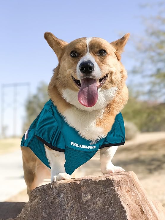 eagles dog jersey