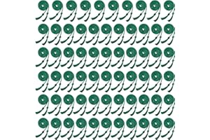 65 Pieces Graduation Honor Cord with Tassel 67 inch Polyester Braided Honor Cord for Bachelor Gown Graduation Students (Green