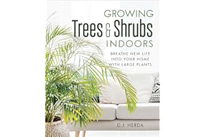 Growing Trees & Shrubs Indoors: Breathe New Life into Your Home with Large Plants