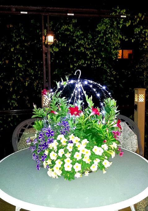 Le encantará este cesta de Topiary marco, de accesorios para ...