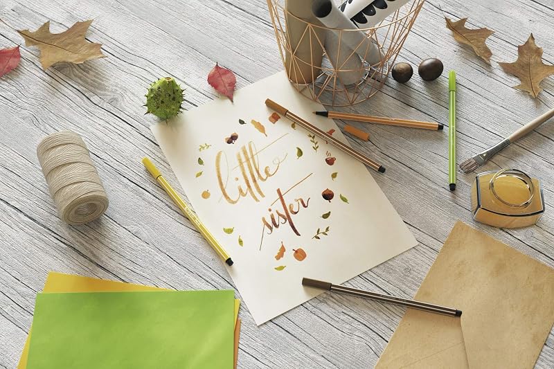 - Estojo de cartão com canetas de desenho NatureCOLORS Edição 68 de 10 canetas