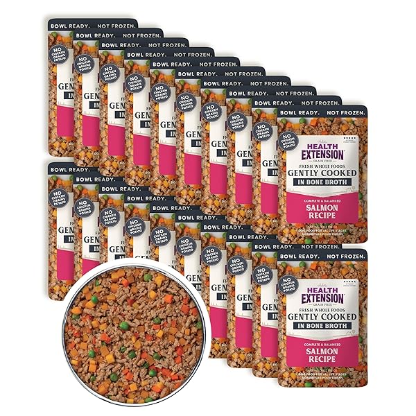 HEALTH EXTENSION GENTLY COOKED GRAIN-FREE SALMON DOG FOOD, HUMAN-GRADE & SHELF-STABLE WITH SUPERFOODS, SUPPORTS DIGESTION, IMMUNITY, SKIN & COAT, 3 OZ POUCH (PACK OF 20)