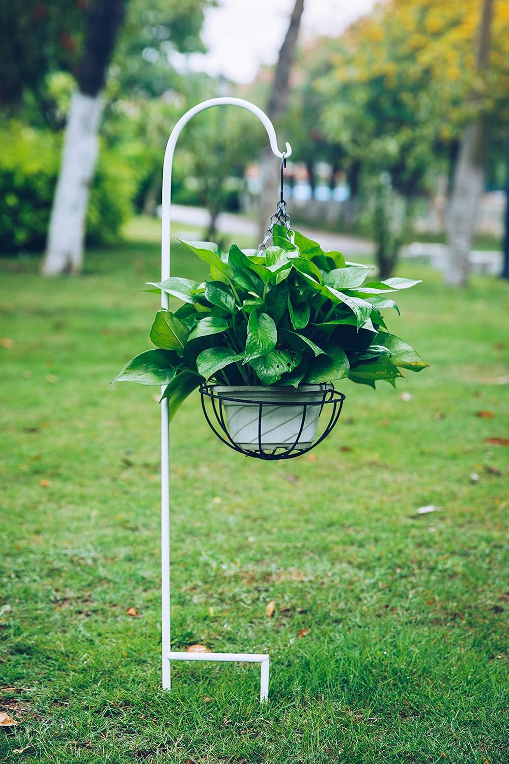 shepherd hooks for flowers on Outdoor Shepherd S Hooks Tangchaoo Shepherd Hooks 35 Inches Anti Rust Durable Strong Lanterns Outdoor Hooks Bird Feeder Pole For Lights Plants Flowers Pack Of 5 Patio Lawn Garden