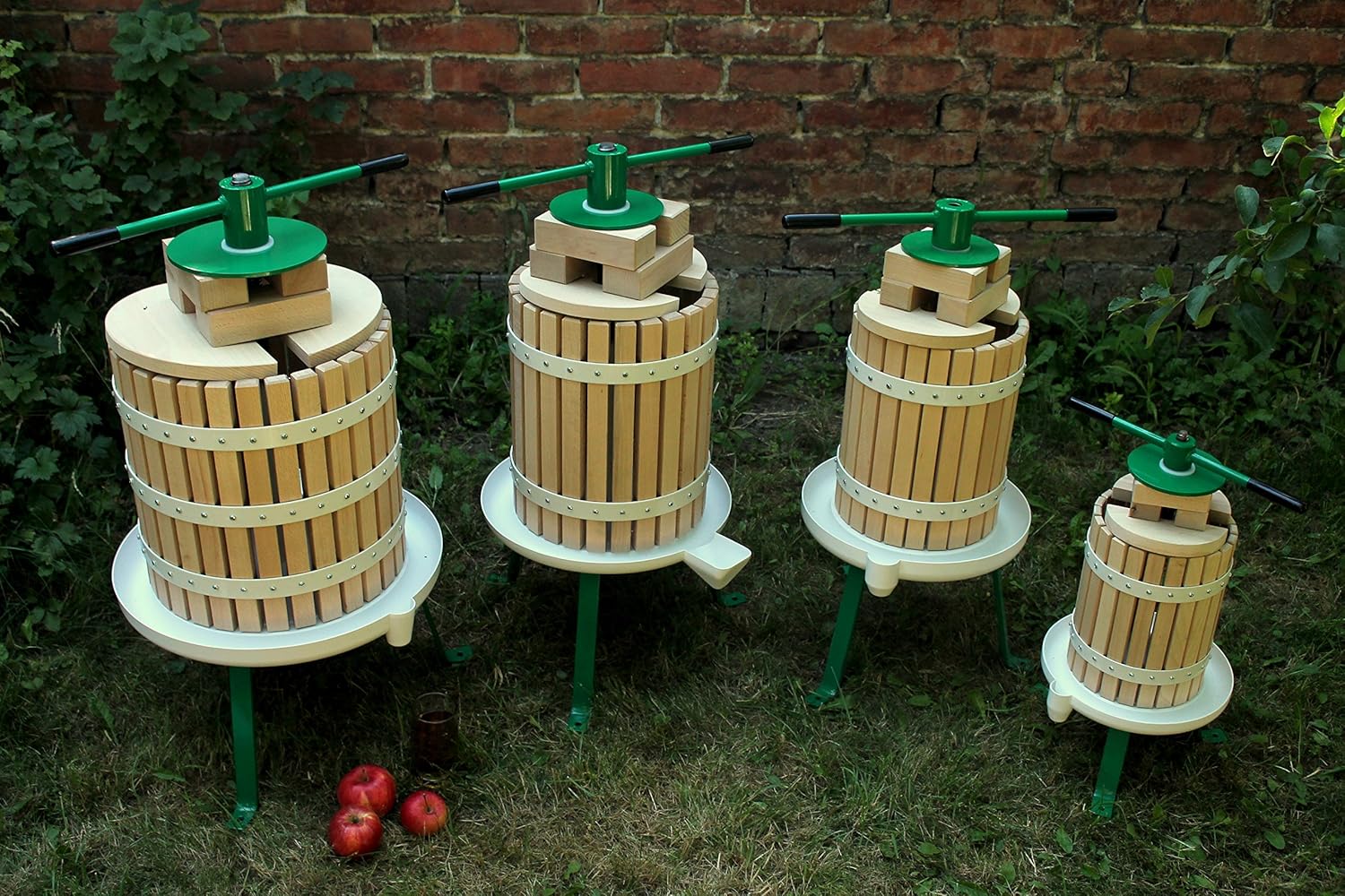 Pianta Di Mentuccia Romana In Vaso Ø14 Cm - Aromatica Per Giardino E Balcone, Resistente E Profumata - Foto 11