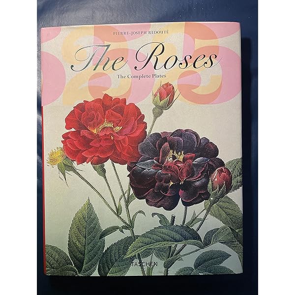 Pierre-Joseph Redout、The Roses48 Pierre-Joseph Redout、The Roses48 Vintage Pierre-Joseph Redouté