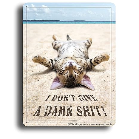 Magnet Chat Sur La Plage Damn Shit Humoristique En