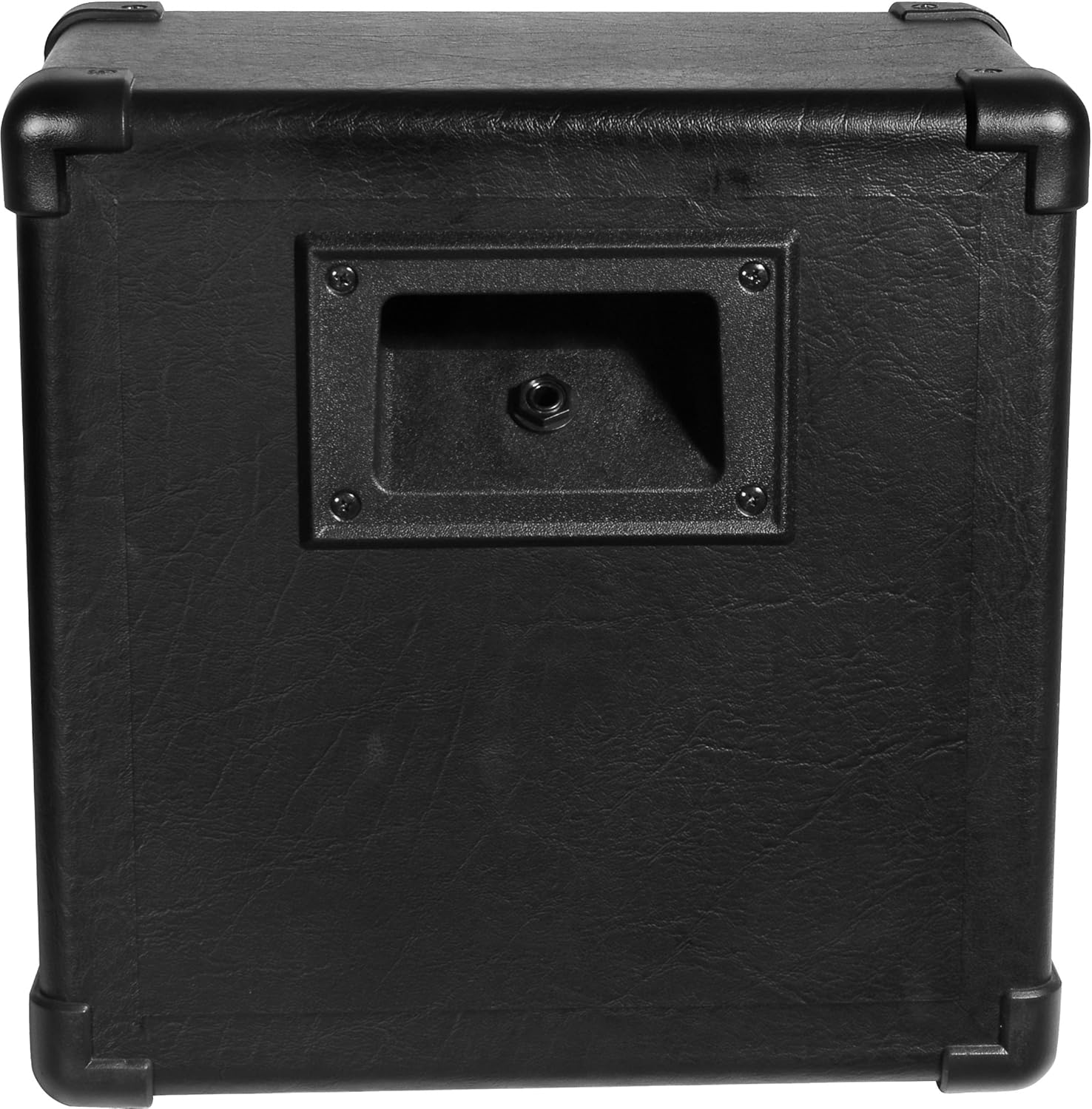 randall speaker cabinet