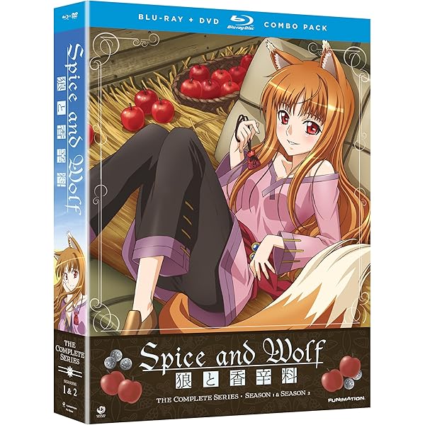 リバウンド DVD 三菱 録画用DVD-R DL 215分 2-8倍速CPRM対応 50枚入 通販【フォレスト