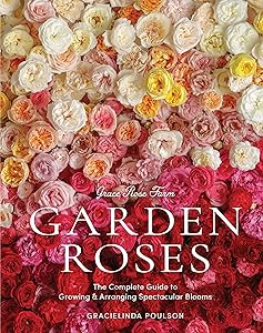 kindle best category lists