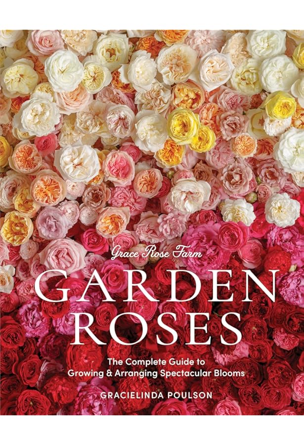 The Rose Bible: Clayton Reddell, Rayford, Galyean, Robert, Stewart