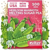100 Mammoth Melting Snow Pea Heirloom Vegetable Seeds, Pisum Sativum | Mammoth Melting Sugar Snow Pea, Large Sweet Pods, Heirloom Seed Packets, Vegetable Seeds for Outdoor Garden, Raised Beds