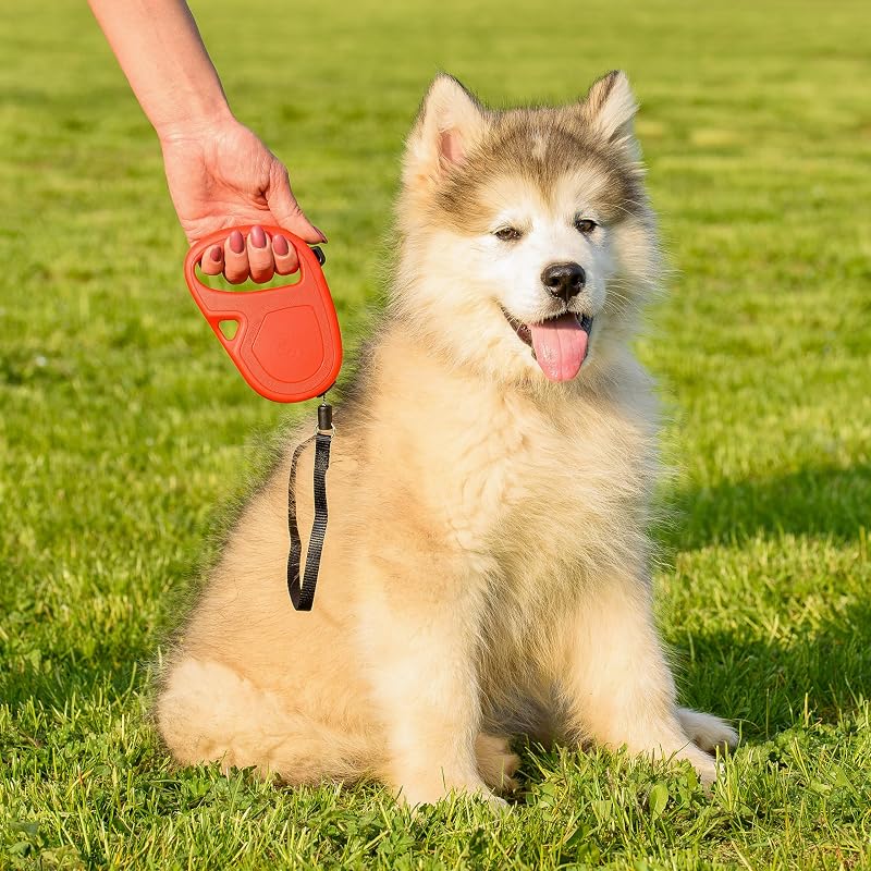 Correa retráctil para Perros medianos Flippy One Cord S, Cuerda Extensible 4,5 m, máx 12 kg, Rojo