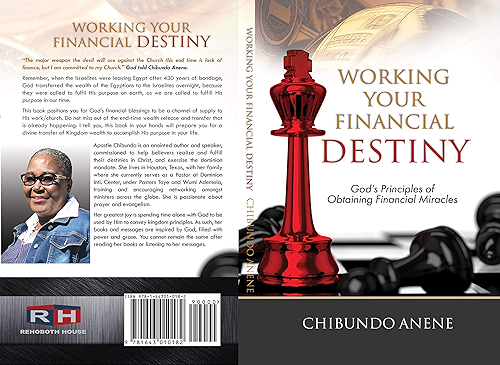 Download Working Your Financial Destiny: God's Priciples of Obtaining Financial Miracles (English Edition) PDF