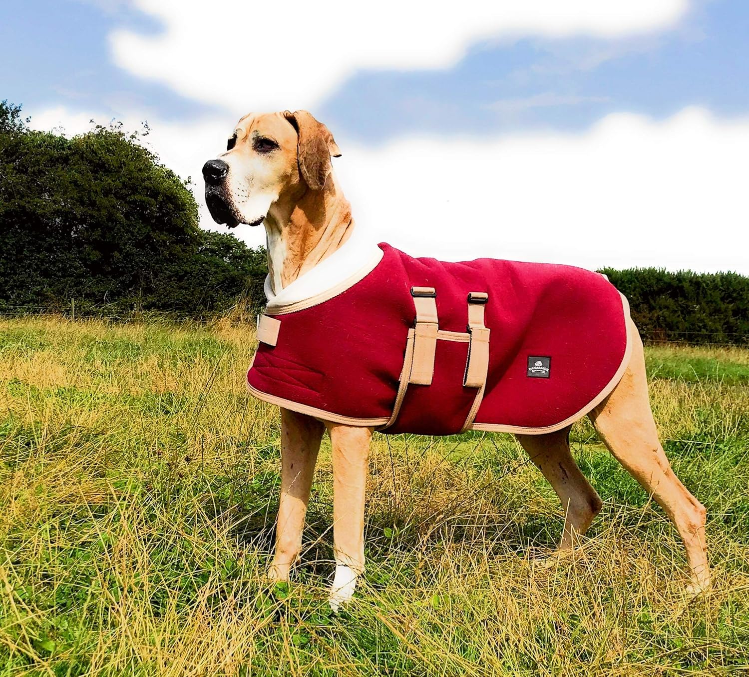 Super Saturday Danarmor Pet Supplies Royal Robe Bonded Fleece Great