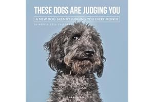 Graphique 2026 Judging Dogs Wall Calendar | 12” x 12” | Thick Paper | Home & Office Organizer | Large Monthly Grid | 3 Languages & Marked Holidays | 4 Month Preview Page for 2027