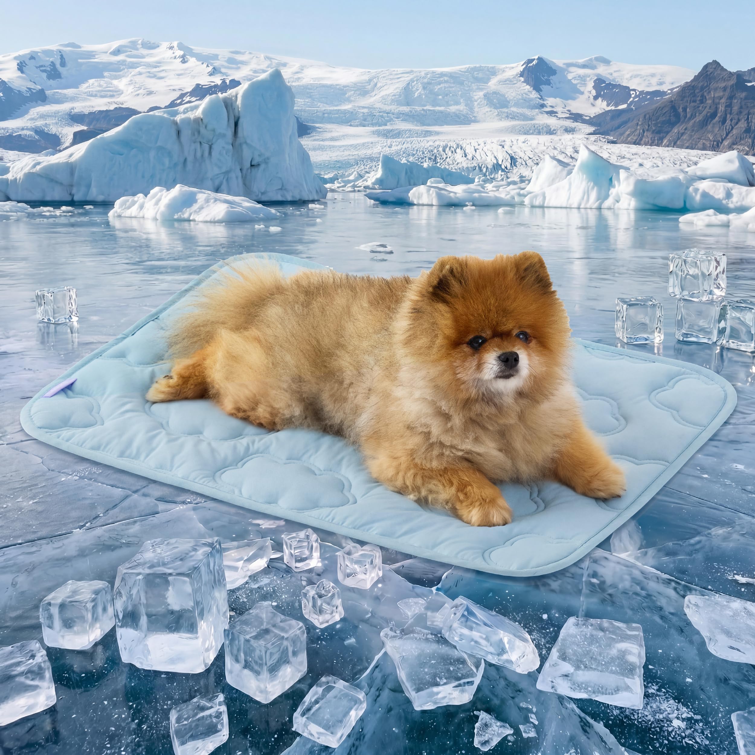 le sure dog cooling mat for extra large dogs -q-max>0.5 xxl breathable thin cool crate pad with chil