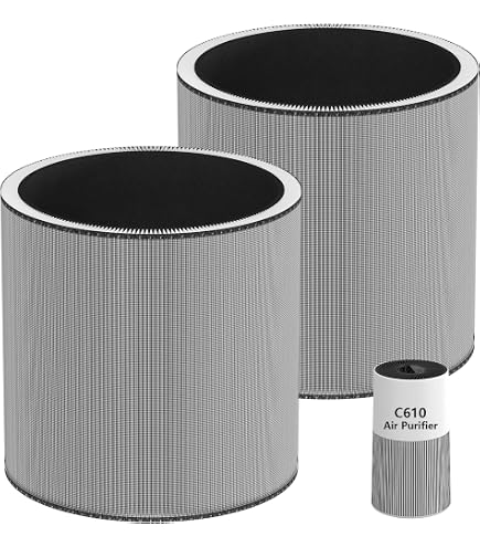 Amazon.com: C610 Replacement Filter Z, Compatible with Winix C610