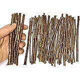 120 Gram - Wood Sticks for Crafts - 6 Inch Birch Wood Craft Sticks - Natural Twigs Sticks for Crafting, DIY School Projects, 