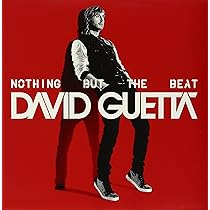 Nothing But The Beat (2 Vinyles) | Amazon.com.br