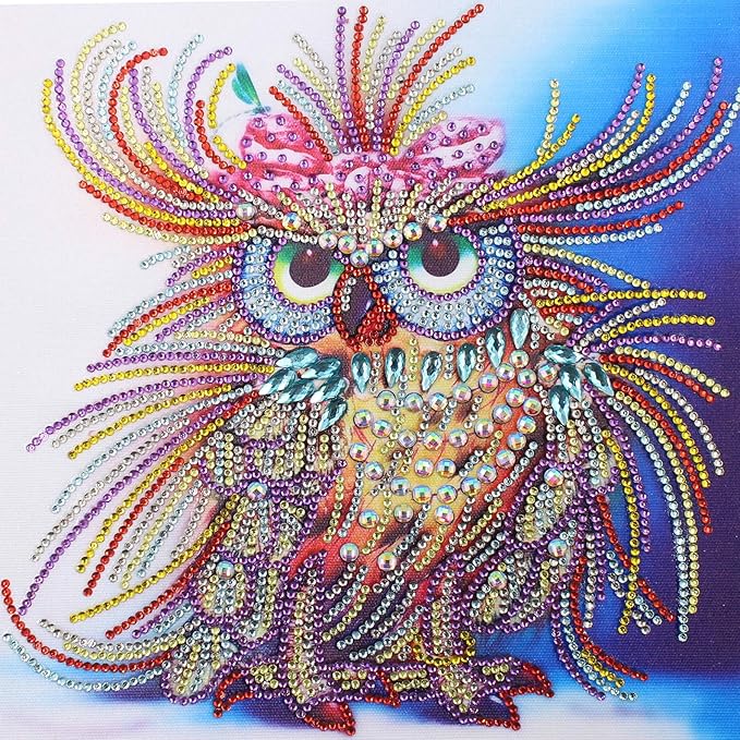 Amazon.com: Bestlus 5D Diamond Painting Kits for Adults, Amazing DIY