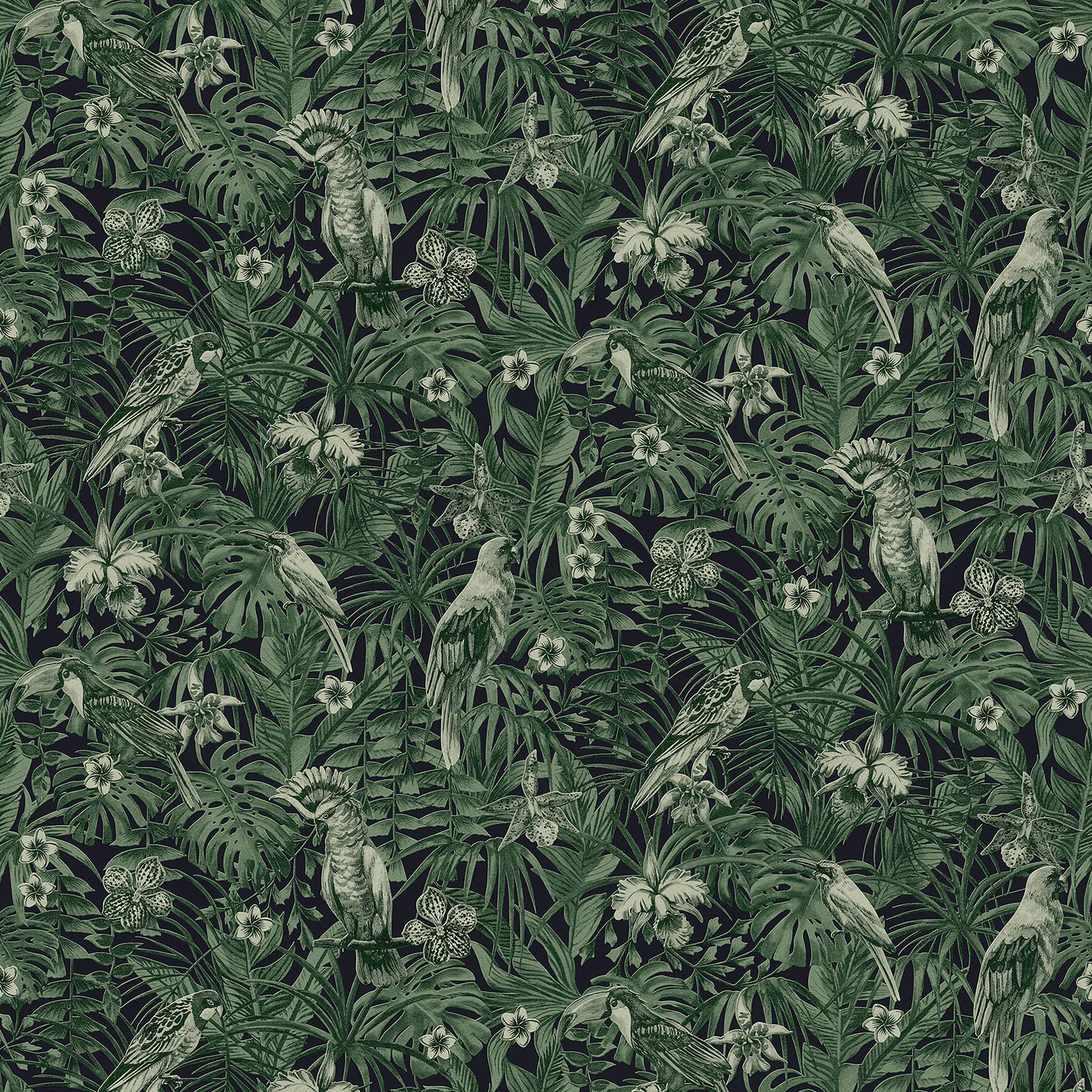 Jungle Wallpaper Greenery A.S. Création Non-Woven Wallpaper 10.05 m x 0.53 m Green Black Made in Germany 372101 37210-1