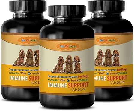 best dog stuff on amazon