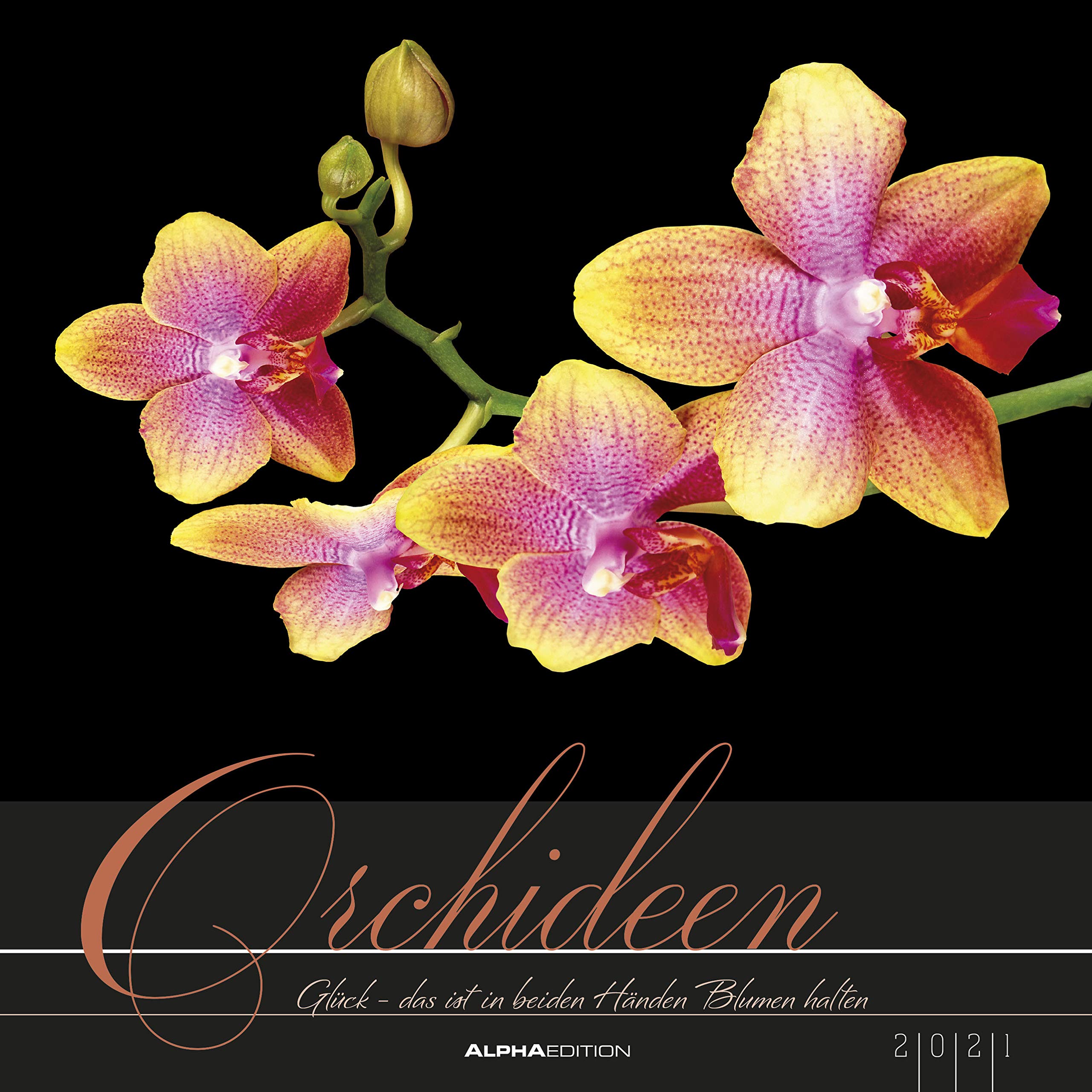 Orchideen 21 Amazon Com Books