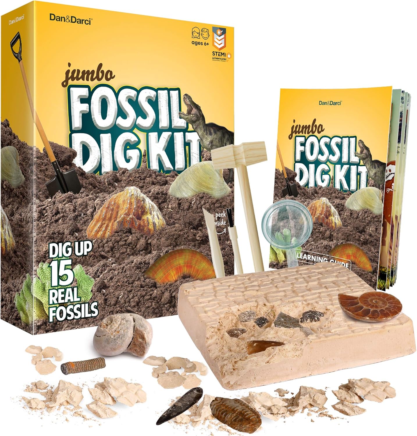 fossil toy set