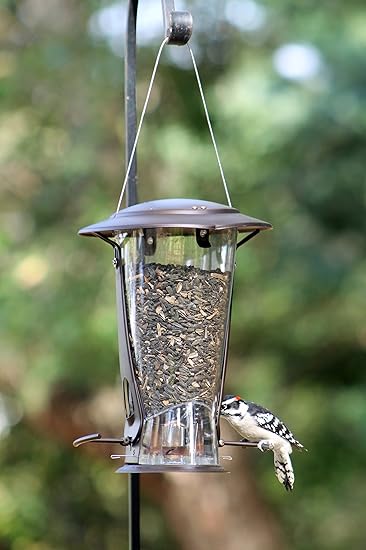 Amazon Com More Birds X 2 Squirrel Proof Bird Feeder With 4