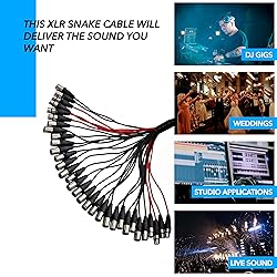 Seismic Audio SACB-32x8x100 32-Channel XLR Low