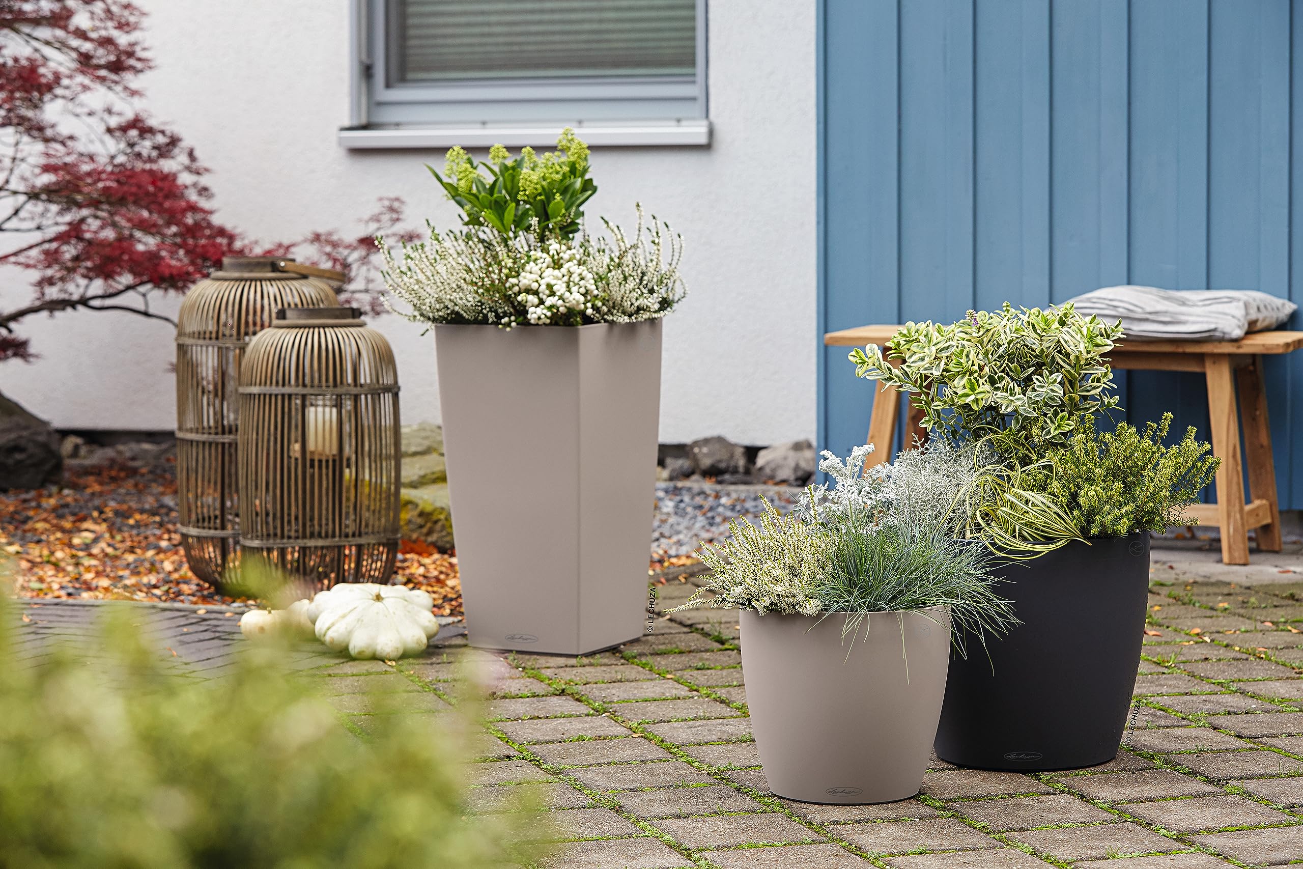 LECHUZA CLASSICO Color 28 sandbraun 13193 7