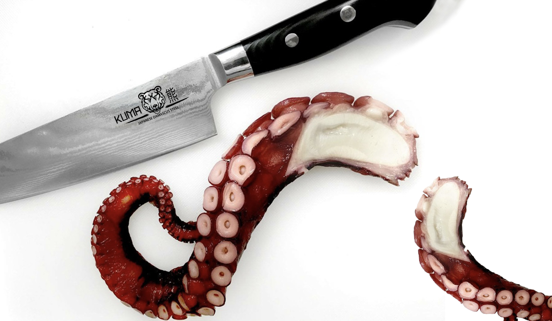 Amazon.com: KUMA Professional Damascus Knife - 8 Inch Japanese