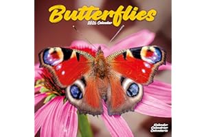 Butterflies Calendar 2026 Square Butterfly Wall Calendar - 16 Month