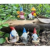 Cliocoo 5pcs Gnome Miniature Set for Fairy Garden, Lovely Resin Dwarf Figurines Kit for Garden Yard Patio Outdoor Home Decoration (Gnome Set-2)