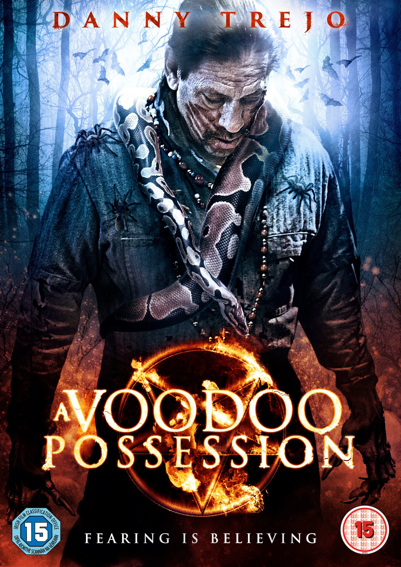A Voodoo Possession [DVD]
