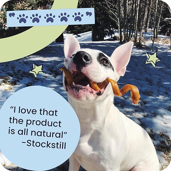 PAWSTRUCK NATURAL 8–12″ BULLY STICKS FOR DOGS – LONG-LASTING, RAWHIDE-FREE, LOW-ODOR, GRAIN-FREE DENTAL CHEW TREAT – SINGLE INGREDIENT, 100% REAL BEEF – 1 LB BAG – PACKAGING MAY VARY