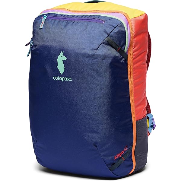 Amazon.com | Cotopaxi Tapa 22L Backpack-Cada Dia Black | Casual Daypacks