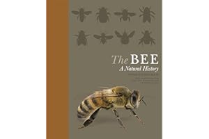 The Bee: A Natural History