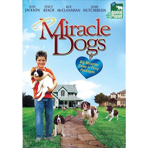 Amazon.com: Miracle Dogs Too : Charles Durning, Patrick Muldoon