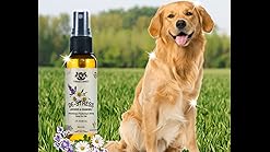 pumpkin spice dog cologne