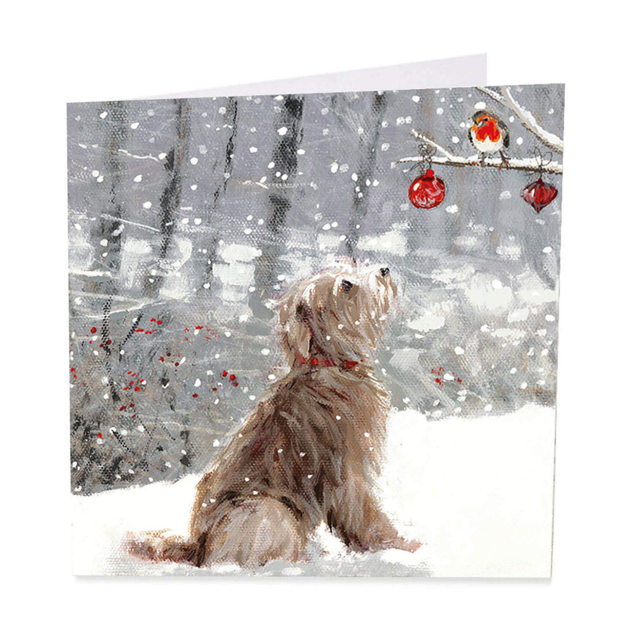 Art Beat Charity Christmas Cards - Hello There - Pack of 6 in aid of Shelter