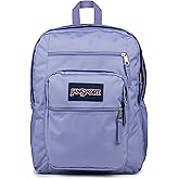 JanSport Laptop Backpack - Computer Bag with 2 Compartments, Ergonomic Shoulder Straps, 15” Laptop Sleeve, Haul Handle - Lavender Ash